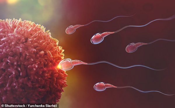 Erkeklerde Kısırlık | infertilite | Cinsel hastalıklar | Dr Remzi Erdem | Böbrek taşı | Üroloji doktoru